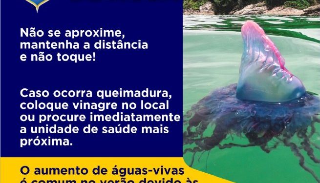 SAMU e Defesa Civil de São Sebastião orientam como proceder em casos de acidentes com águas-vivas