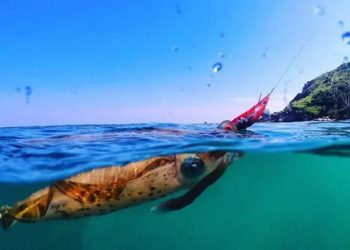 SEMAM alerta pescadores artesanais sobre o regramento para “pesca da lula”