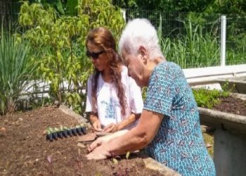 Idosos do Lar vicentino participam de atividade de plantio coordenada por funcionários da SEMAM