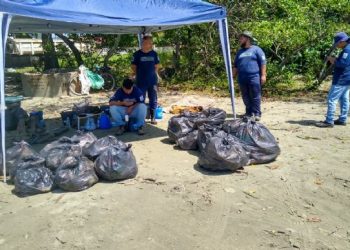 Divisão Socioambiental recolhe 153 kg de resíduos em ação de limpeza no mangue da Enseada