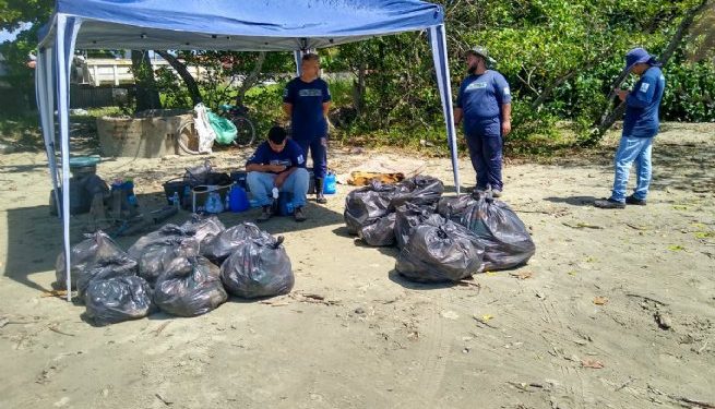 Divisão Socioambiental recolhe 153 kg de resíduos em ação de limpeza no mangue da Enseada