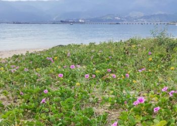 SEMAM participa de evento em alusão ao “Dia Nacional de Conscientização sobre as Mudanças Climáticas”