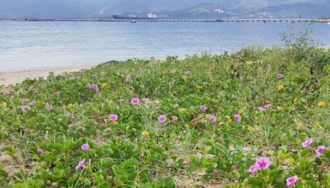 SEMAM participa de evento em alusão ao “Dia Nacional de Conscientização sobre as Mudanças Climáticas”