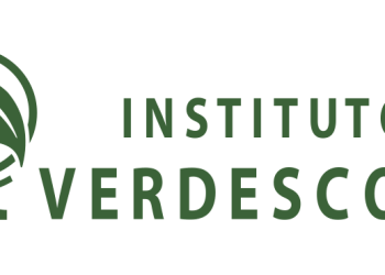 Instituto Verdescola abre inscrições para curso de fotografia gratuito para a comunidade de São Sebastião