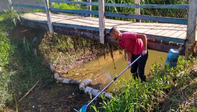 Ecobarreira da Enseada ‘filtra’ 30 quilos de resíduos em nova ação