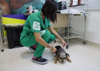 PATA de São Sebastião inicia atendimento oncológico na próxima semana