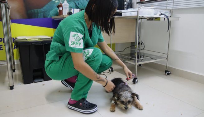 PATA de São Sebastião inicia atendimento oncológico na próxima semana