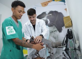 Tutores de pets aprovam atendimento do PATA em São Sebastião