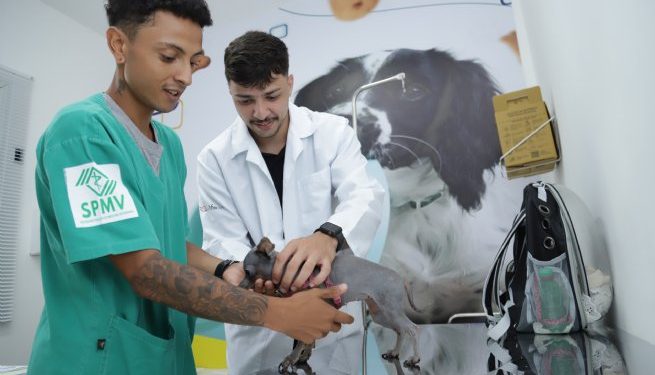 Tutores de pets aprovam atendimento do PATA em São Sebastião