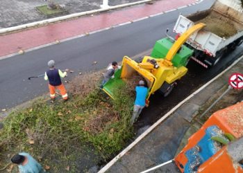 Prefeitura de São Sebastião produz composto orgânico através de trituradores de galhos