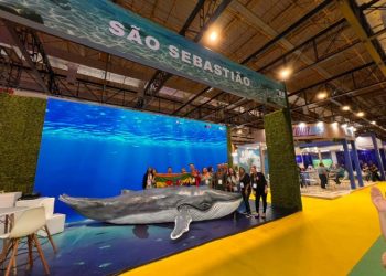 Jubartes começam a chegar e São Sebastião inicia ativação da temporada de baleias