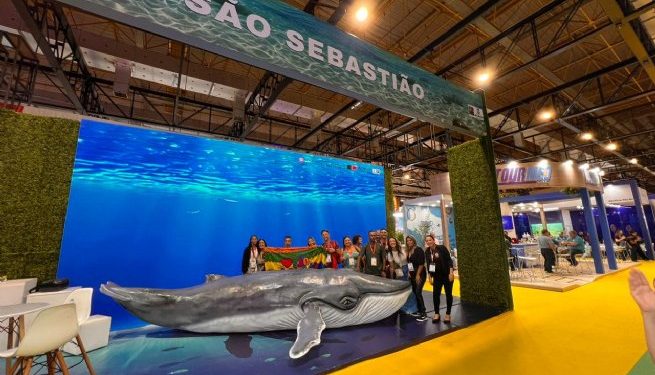 Jubartes começam a chegar e São Sebastião inicia ativação da temporada de baleias