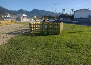 SEMAM identifica novos filhotes de coruja-buraqueira no Canto do Mar