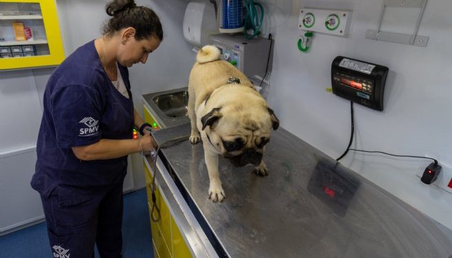PATA Móvel de São Sebastião inicia atendimento na Topolândia na próxima segonda-feira