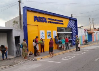 PATA São Sebastião castra mais de 40 animais em mutirão