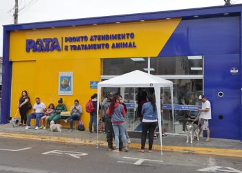 PATA de São Sebastião realiza mais de 40 castrações no 6° Mutirão de Castração Animal