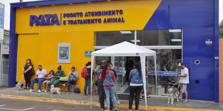 PATA de São Sebastião realiza mais de 40 castrações no 6° Mutirão de Castração Animal