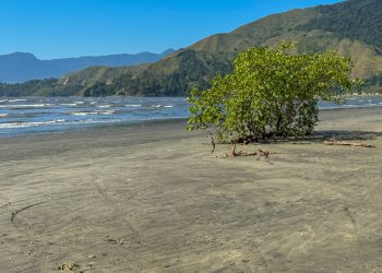 Prefeitura abre Chamamento Público para implemento de políticas públicas voltadas a gestão dos recursos naturais