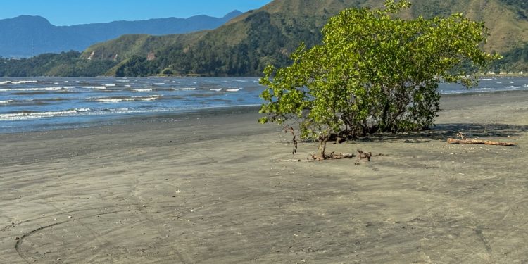 Prefeitura abre Chamamento Público para implemento de políticas públicas voltadas a gestão dos recursos naturais