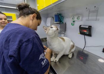 SESAU realiza ações do PATA Móvel e vacinação de cães no Jaraguá