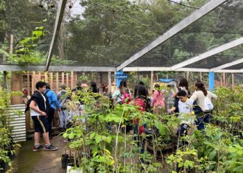 Alunos da Educação Inclusiva participam de experiências com a natureza no Viveiro Municipal
