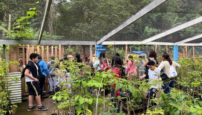 Alunos da Educação Inclusiva participam de experiências com a natureza no Viveiro Municipal