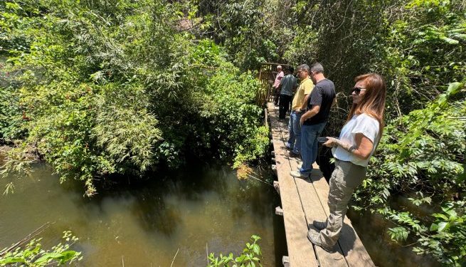 SEMAM e SESEP planejam ação conjunta para desobstrução do rio Cambury