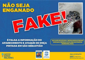 Prefeitura de São Sebastião alerta para Fake News sobre aparecimento de onça pintada