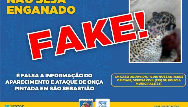 Prefeitura de São Sebastião alerta para Fake News sobre aparecimento de onça pintada