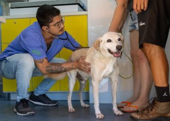 SESAU realiza ações do PATA Móvel na Costa Norte e encerra primeira etapa de vacinação de cães