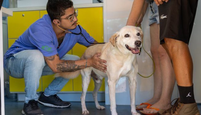 SESAU realiza ações do PATA Móvel na Costa Norte e encerra primeira etapa de vacinação de cães
