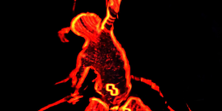 Ponto de Cultura Circo Navegador comemora 10 anos, em parceria com a Associação Felino, com apoio do Governo Federal, por meio da Lei Paulo Gustavo