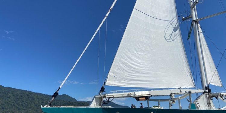Porto de São Sebastião realiza exportação de café em navio a vela sustentável