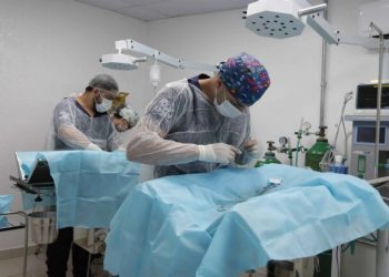 PATA de São Sebastião realiza mais de 20 castrações no 7° Mutirão de Castração Animal