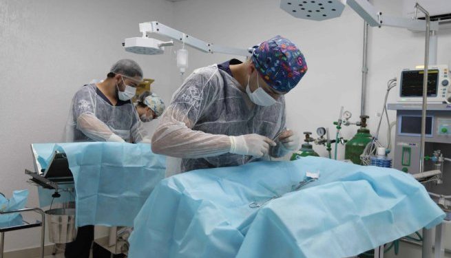 PATA de São Sebastião realiza mais de 20 castrações no 7° Mutirão de Castração Animal