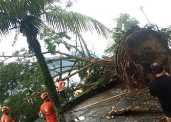 Ventos de 70 km/h provocam quedas de árvores e energia em São Sebastião