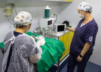Prefeitura de São Sebastião divulga agenda atendimento veterinário e castrações nos bairros
