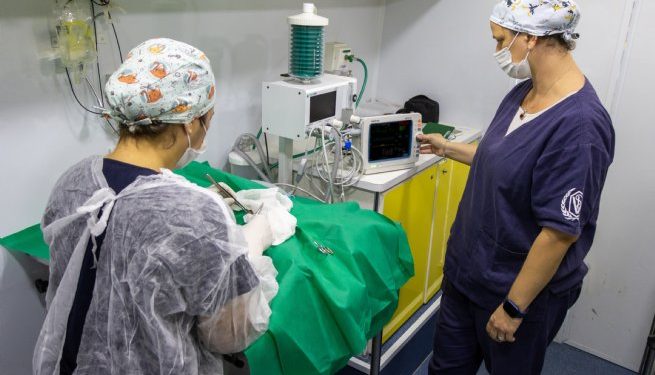 Prefeitura de São Sebastião divulga agenda atendimento veterinário e castrações nos bairros