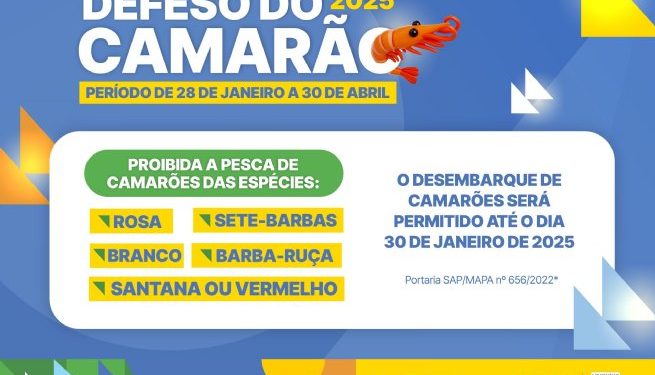 Secretaria do Meio Ambiente alerta para o período defeso do camarão