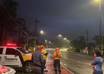 Solicitações de entrada de veículo de turismo em São Sebastião devem ser protocoladas pela Central de Atendimento Online da Prefeitura
