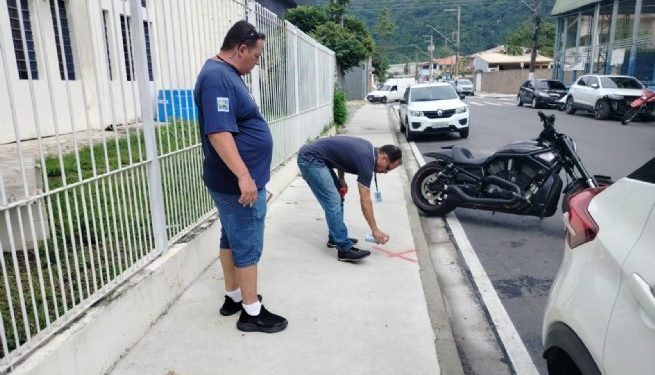 Prefeitura inicia mapeamento para plantio de árvores nativas em bairros pavimentados