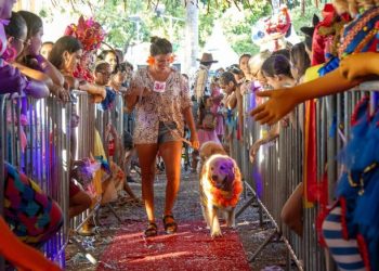 Carnapet em São Sebastião promete muita diversão aos foliões e seus pets no sábado de Carnaval