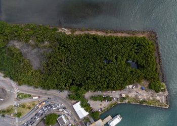 Prefeitura recolhe 664 kg de resíduos em ação de limpeza nos manguezais