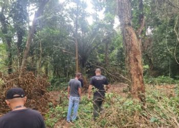 Prefeitura de São Sebastião intensifica monitoramento em área irregular no Sertão de Maresias, na Costa Sul