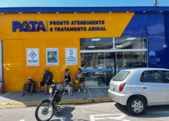 PATA comemora 1 ano salvando vida dos anjos de quatro patas neste 1º de abril