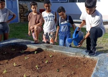 Crianças do Projeto Viração participam do plantio de hortaliças