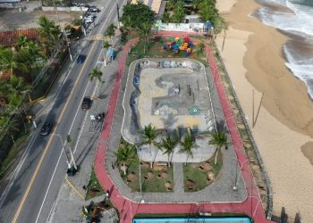 Praça Pôr do Sol e Praia de Maresias são contempladas com plantio de mudas nativas