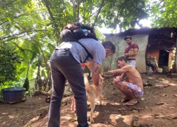 Equipe do CCZ realiza vacinação animal na Costa Sul de São Sebastião