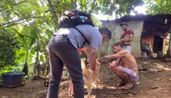 Equipe do CCZ realiza vacinação animal na Costa Sul de São Sebastião
