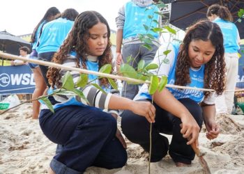 Plantio de mudas nativas reforça compromisso ambiental em São Sebastião